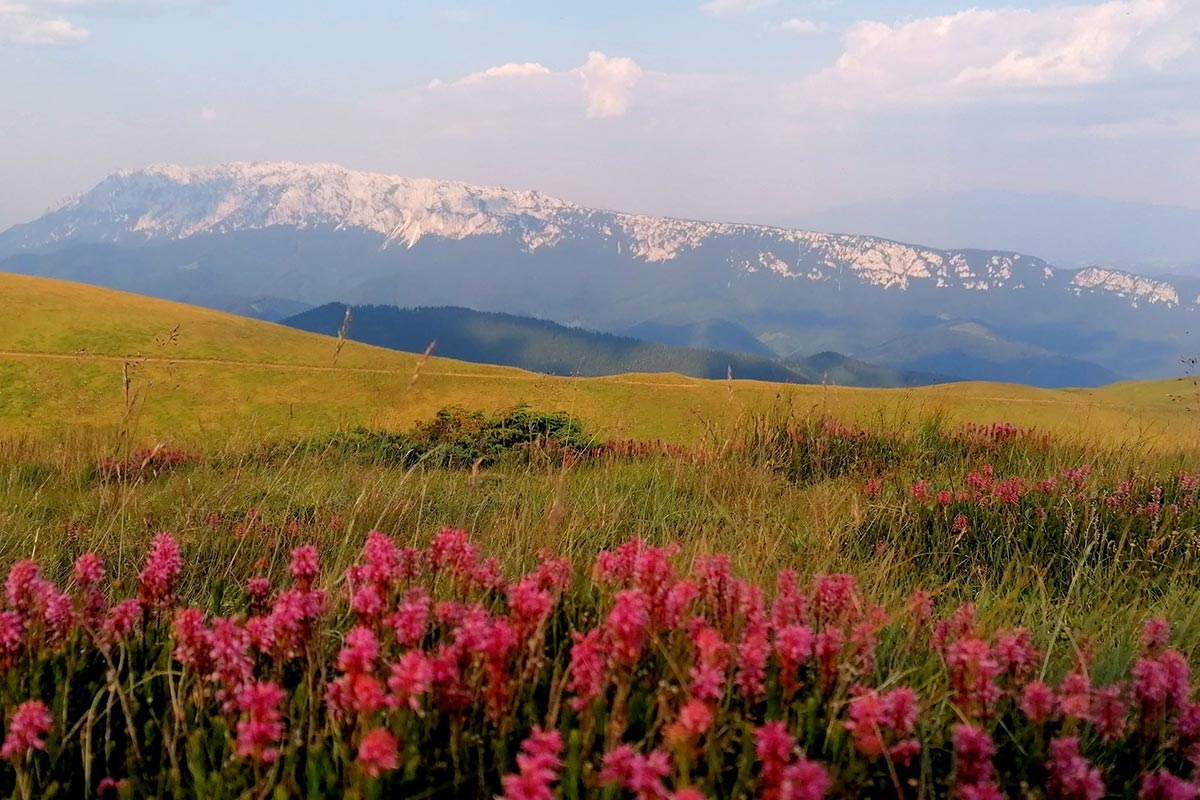 O imagine frumoasă a munților Piatra Craiului